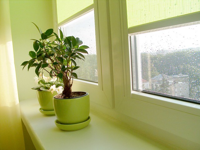 Energy-Efficient Home Upgrades that Can Save You Money - Alvinology