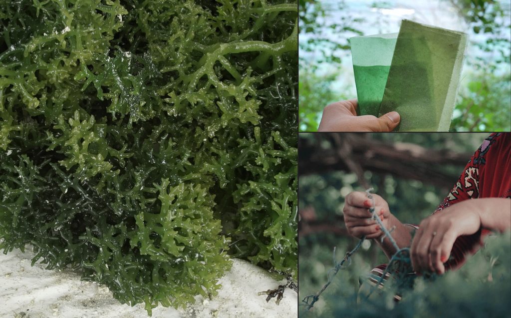 Going Green in Chinatown at MINI Extraoddinary 2019 - Alvinology