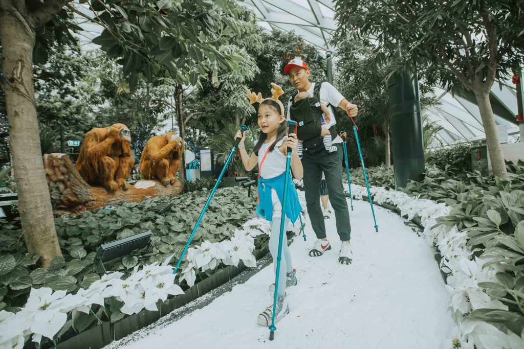 Catch Frozen 2 as they transform Changi Airport into a Frozen Wonderland – check out these “cool” collectables Catch Frozen 2 as they transform Changi Airport into a Frozen Wonderland – check out these “cool” collectables - Alvinology