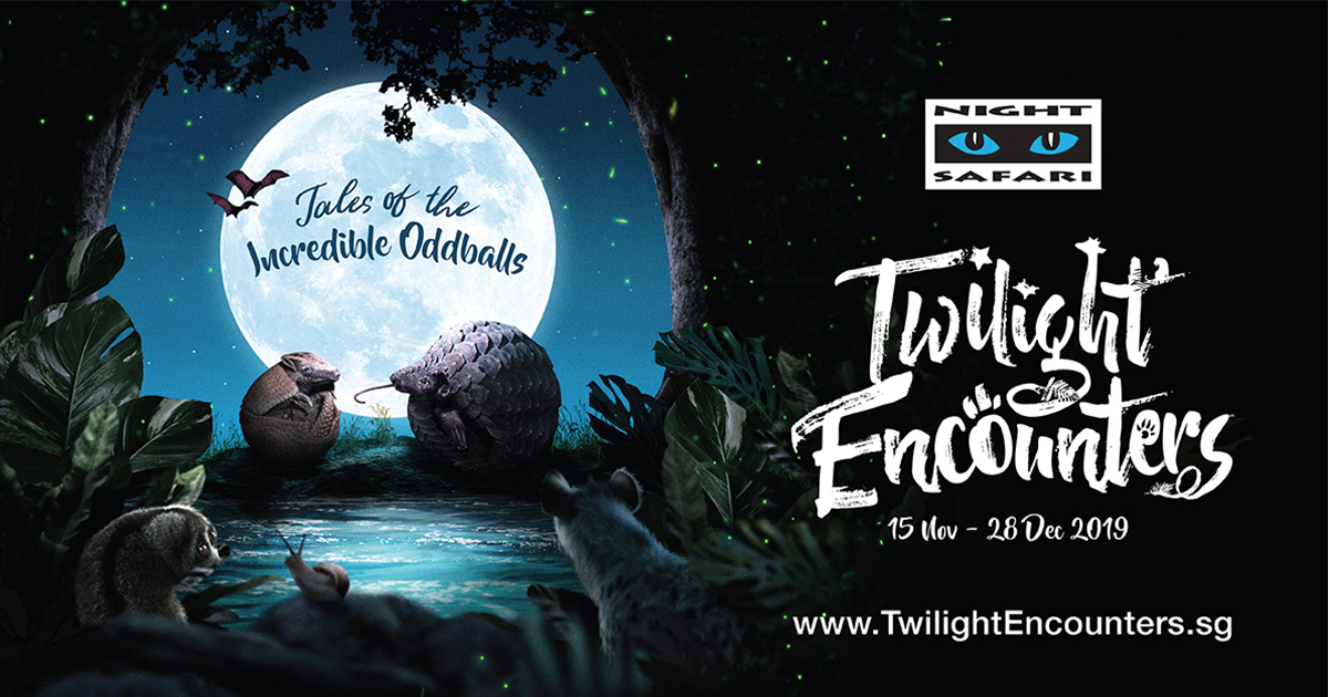 [PROMO INSIDE] Discover Incredible Oddballs – Here’s a list of activities to expect at Night Safari from November till December - Alvinology