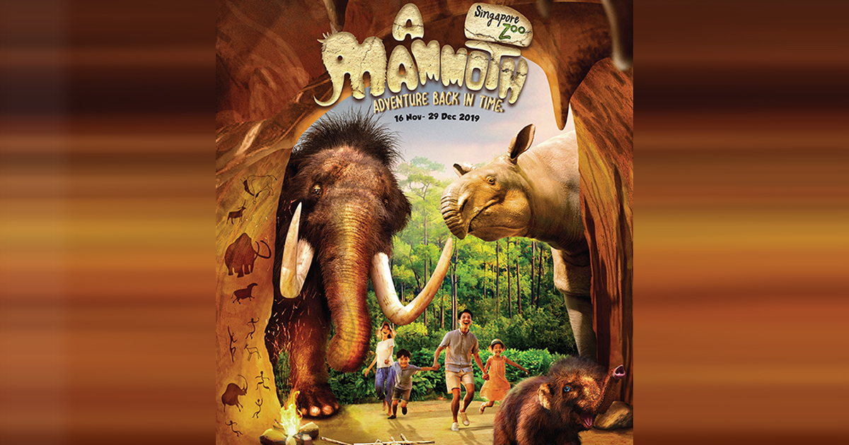 [PROMO INSIDE] Meet Mammoths – Here’s all the fun you can participate in at Singapore Zoo this holiday season - Alvinology