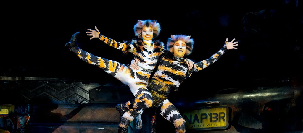 Cuddle up to CATS the musical this Christmas Cuddle up to CATS the musical this Christmas - Alvinology