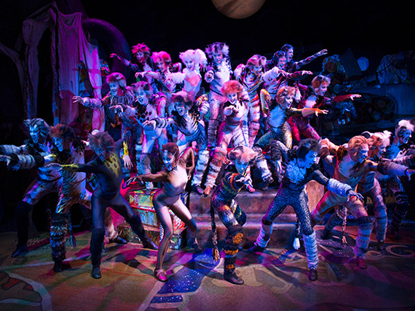 Cuddle up to CATS the musical this Christmas Cuddle up to CATS the musical this Christmas - Alvinology