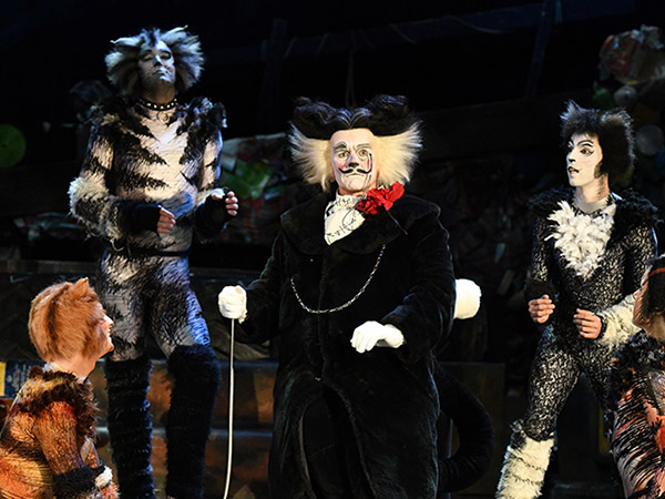 Cuddle up to CATS the musical this Christmas Cuddle up to CATS the musical this Christmas - Alvinology