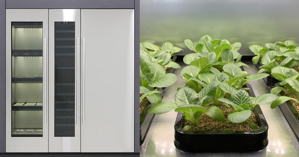 LG Appliance develops first indoor vegetable cultivator – grow wholesome foods at home - Alvinology