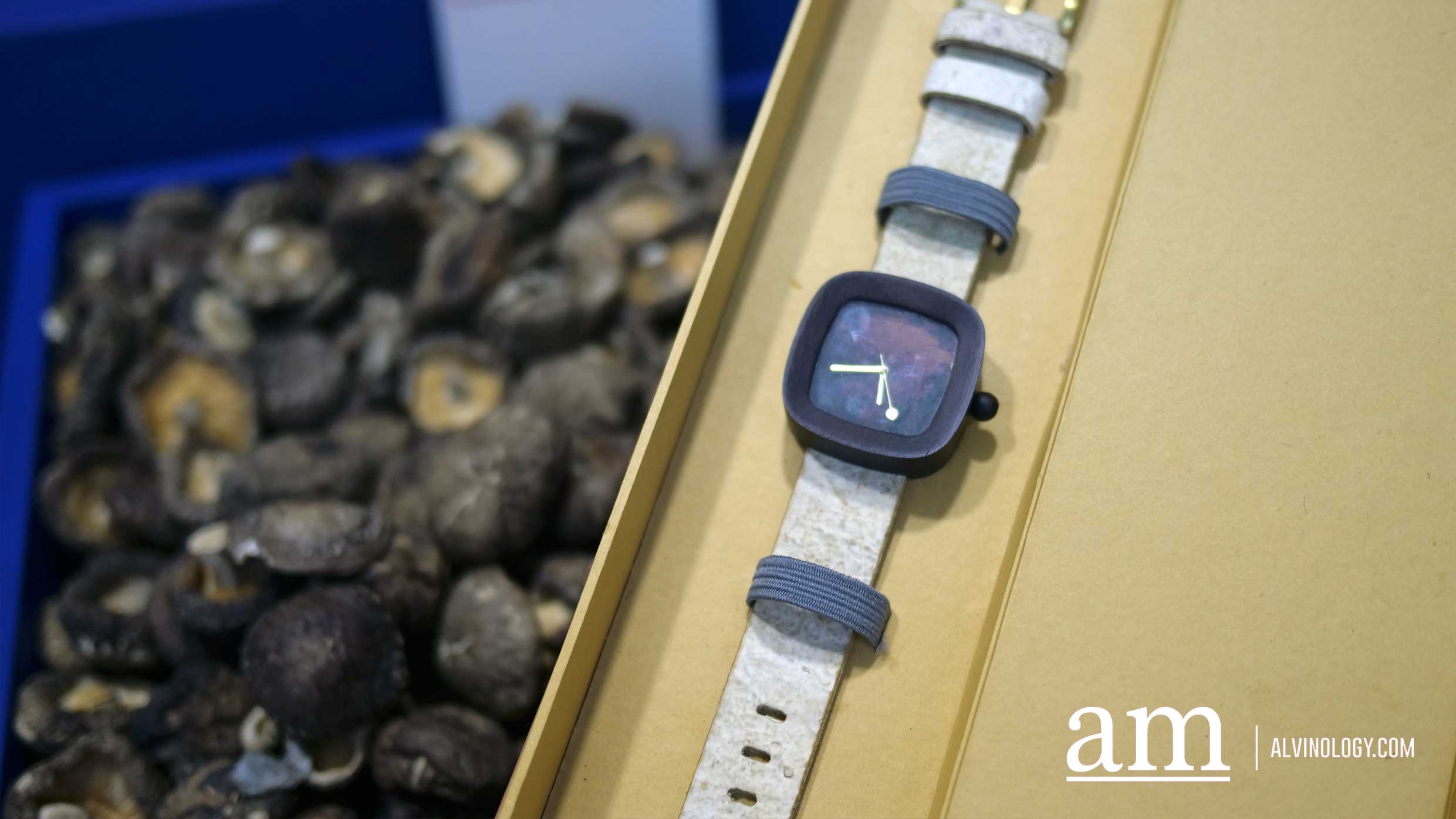 All the Surprising Sustainable Discoveries at MINI ExtraODDinary 2019 - Alvinology
