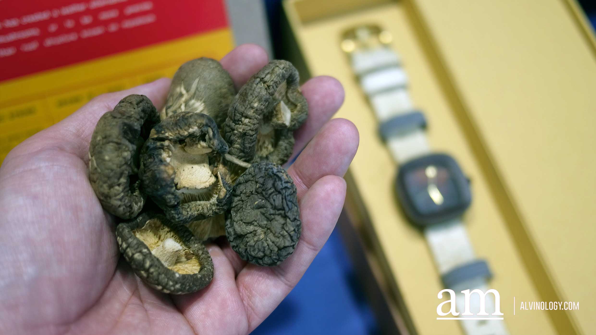 All the Surprising Sustainable Discoveries at MINI ExtraODDinary 2019 - Alvinology