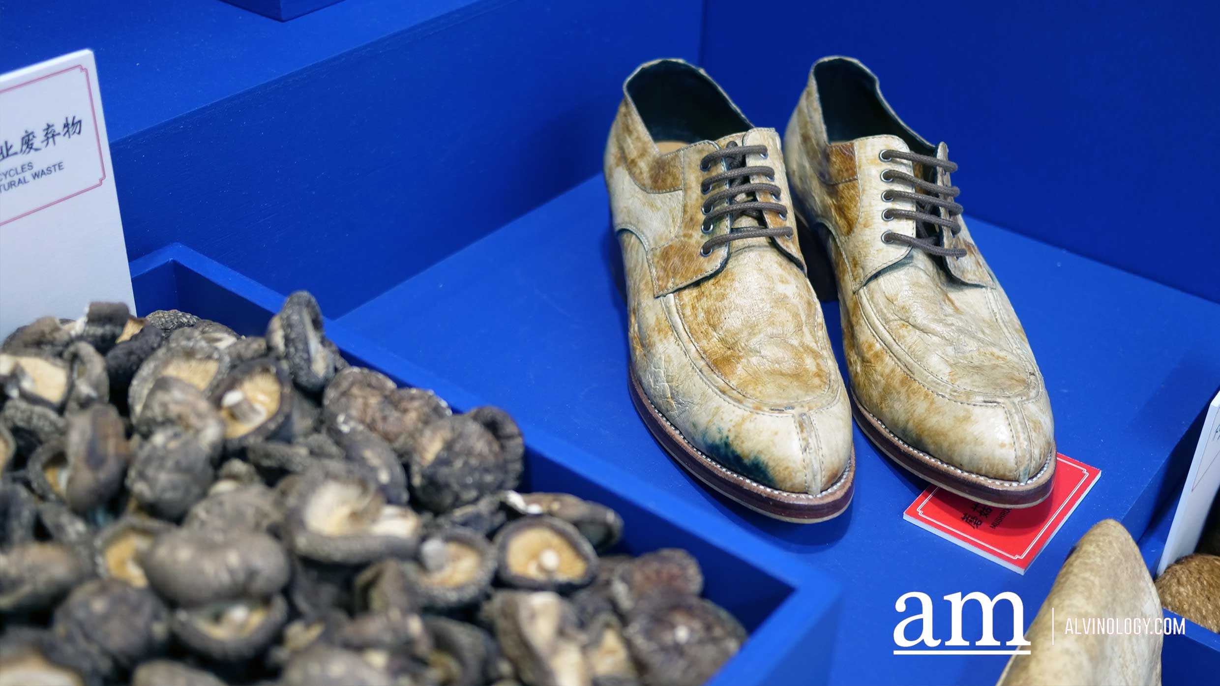 All the Surprising Sustainable Discoveries at MINI ExtraODDinary 2019 - Alvinology