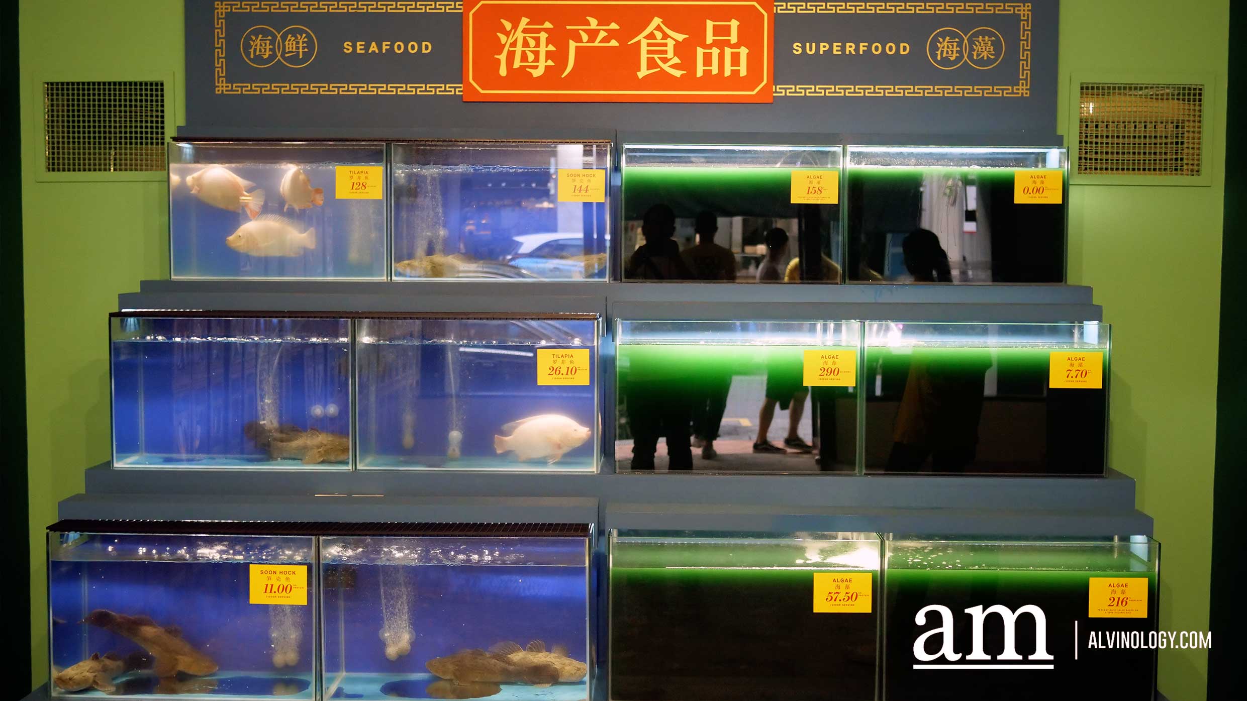 All the Surprising Sustainable Discoveries at MINI ExtraODDinary 2019 - Alvinology