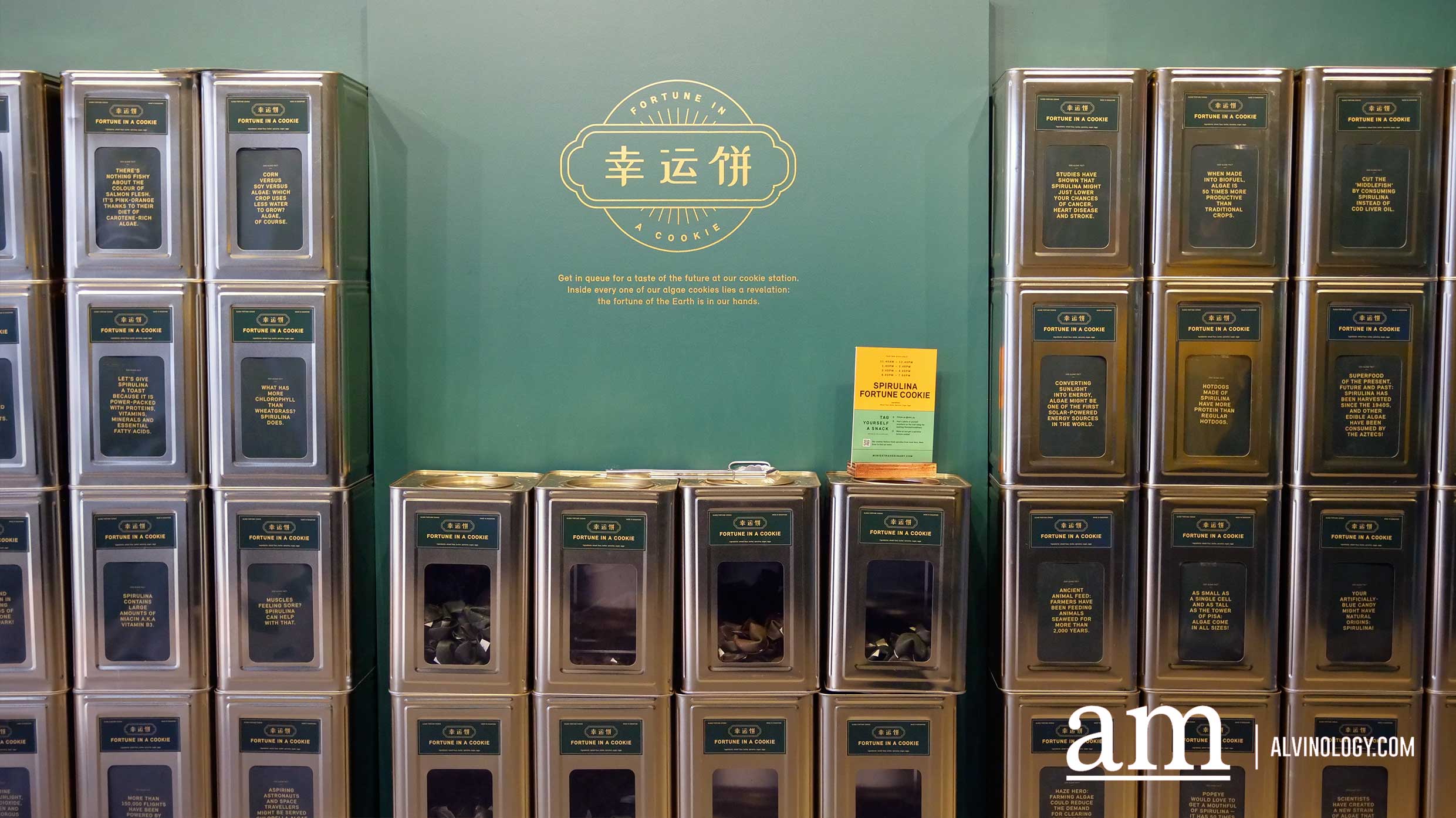 All the Surprising Sustainable Discoveries at MINI ExtraODDinary 2019 - Alvinology
