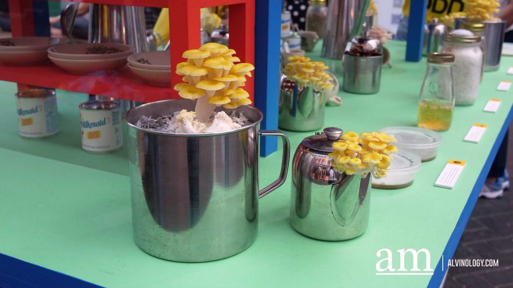 All the Surprising Sustainable Discoveries at MINI ExtraODDinary 2019 - Alvinology