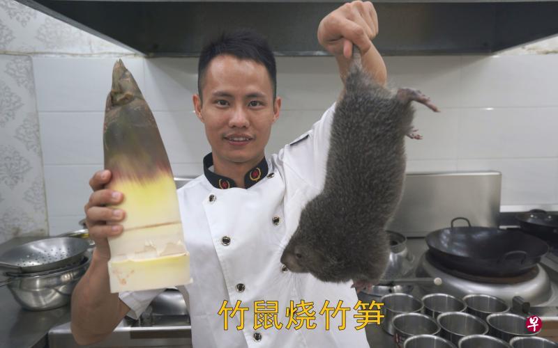 Why are bamboo rats a popular delicacy in China? - Alvinology
