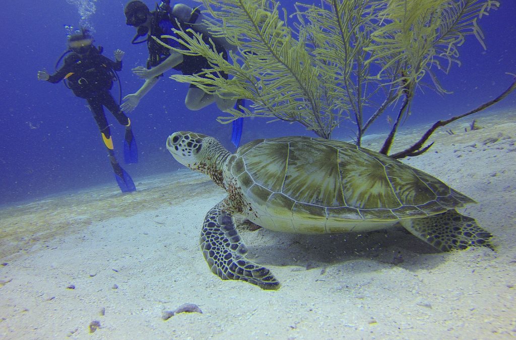 Fun Outdoor Activities You Can Enjoy In Gozo Fun Outdoor Activities You Can Enjoy In Gozo - Alvinology