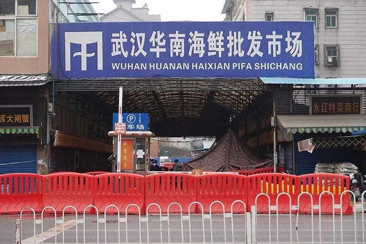 What the Wuhan Huanan Seafood Wholesale Market was like before the outbreak [WARNING: NSFW] - Alvinology