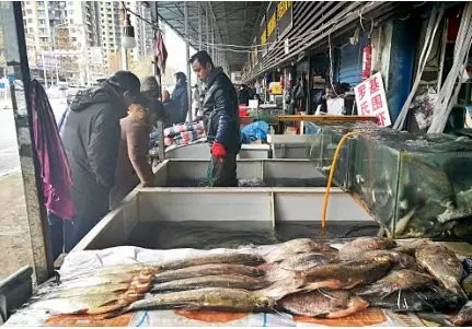 What the Wuhan Huanan Seafood Wholesale Market was like before the outbreak [WARNING: NSFW] - Alvinology