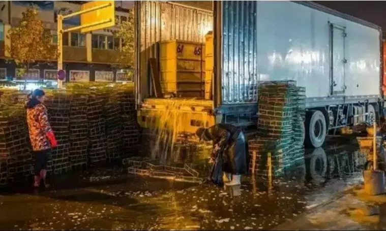 What the Wuhan Huanan Seafood Wholesale Market was like before the outbreak [WARNING: NSFW] - Alvinology