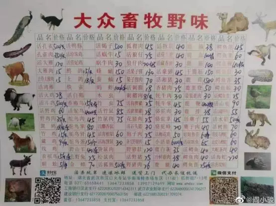 What the Wuhan Huanan Seafood Wholesale Market was like before the outbreak [WARNING: NSFW] - Alvinology