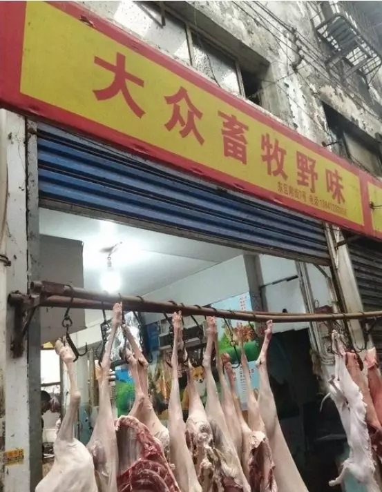 What the Wuhan Huanan Seafood Wholesale Market was like before the outbreak [WARNING: NSFW] - Alvinology