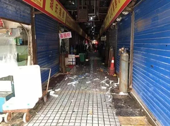 What the Wuhan Huanan Seafood Wholesale Market was like before the outbreak [WARNING: NSFW] - Alvinology