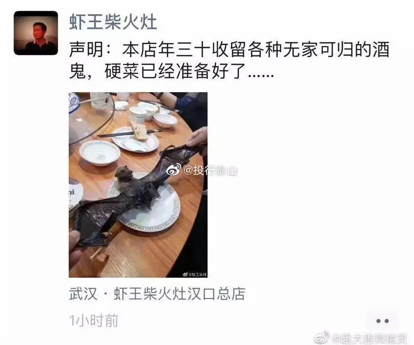 What the Wuhan Huanan Seafood Wholesale Market was like before the outbreak [WARNING: NSFW] - Alvinology