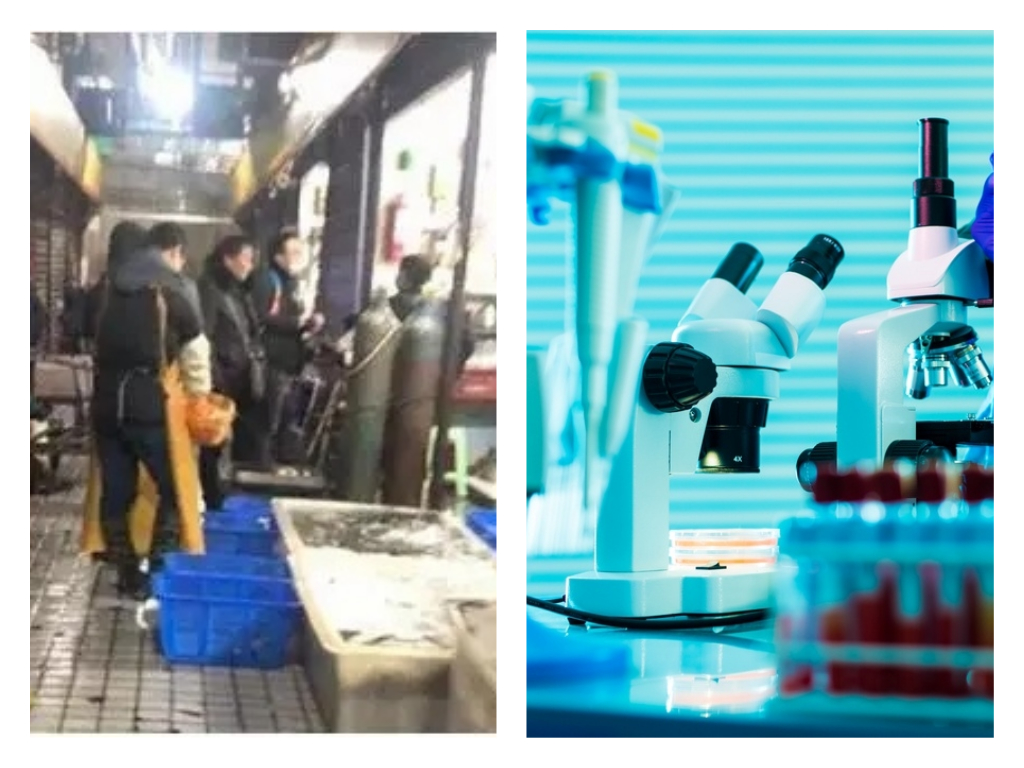 Did the Wuhan coronavirus 2019-nCoV come from Huanan Seafood Market or somewhere else? - Alvinology