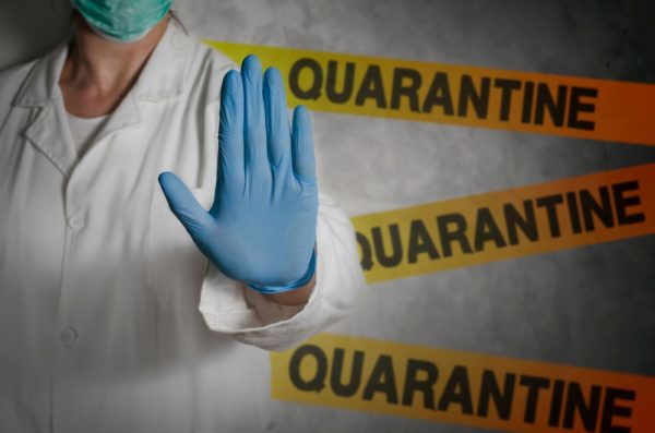 How to survive if you've been quarantined at home - Alvinology