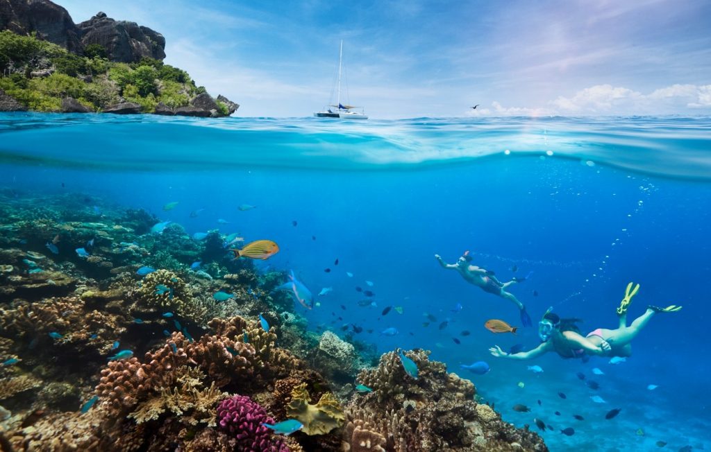 4 Things Every Traveller Shouldn’t Miss Doing During Their Visit in Fiji - Alvinology