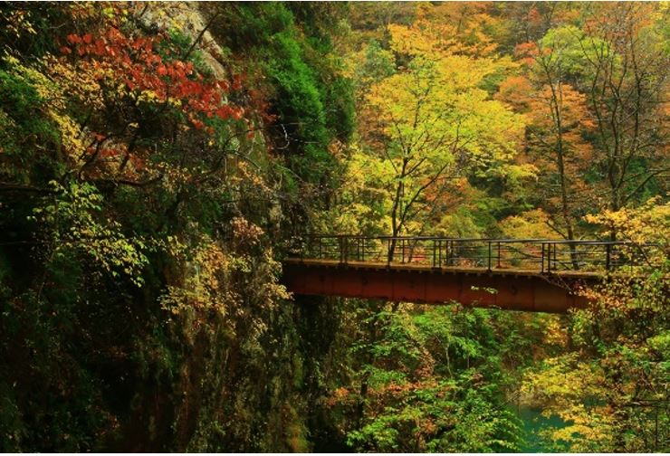 Akita, the “True North” – discover the off beaten track of Japan and feel the quintessential Japanese experience - Alvinology