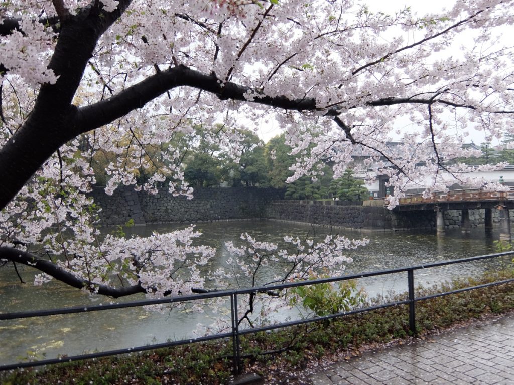 5 off-the-beaten-path cherry blossom tours to consider - Alvinology