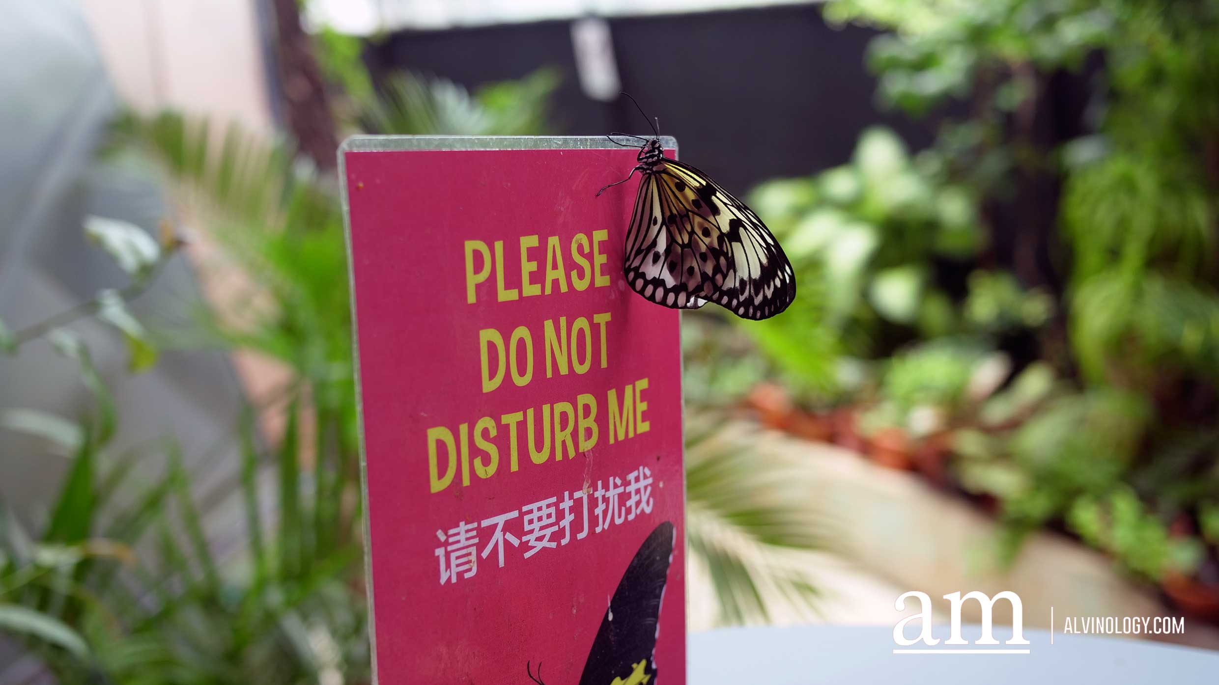 [Promo Code] Germ Busters Workshop on Covid-19 and more at Singapore Science Centre - Alvinology