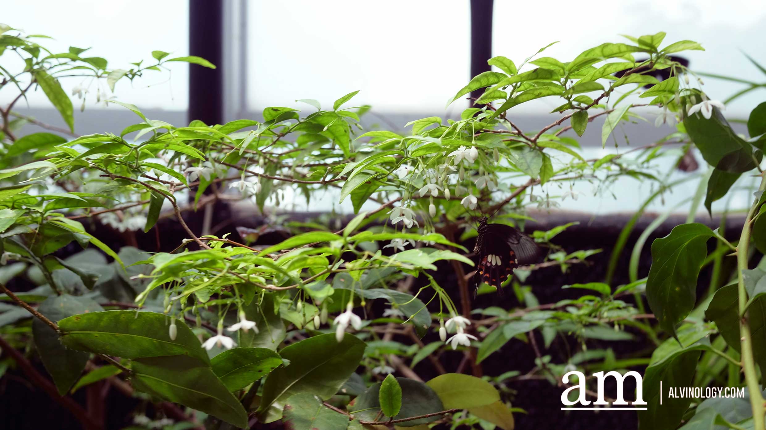 [Promo Code] Germ Busters Workshop on Covid-19 and more at Singapore Science Centre - Alvinology