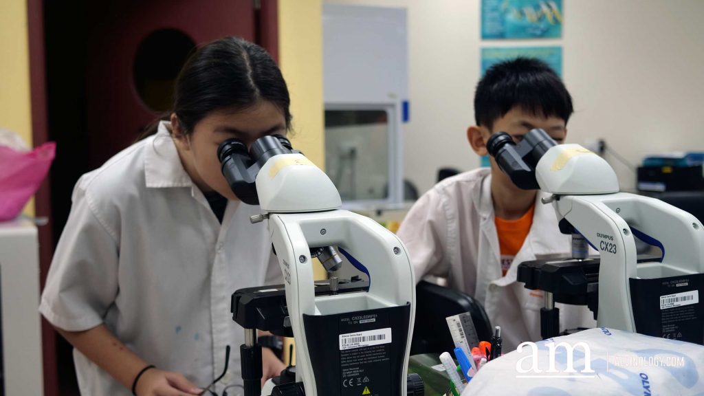 [Promo Code] Germ Busters Workshop on Covid-19 and more at Singapore Science Centre - Alvinology