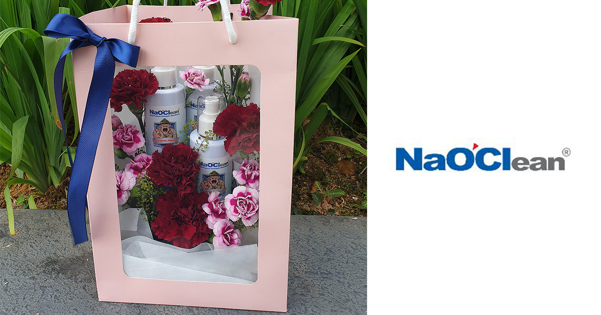 Flowers are good, but a Box of Sanitisers is probably the Best Gift for Mom this Mother’s Day – check out this cool gift idea - Alvinology
