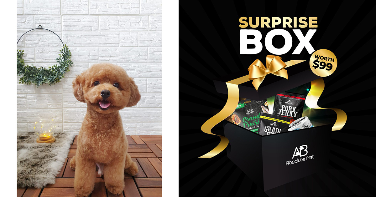 [EYES HERE] Pets Sale is happening on Shopee this 28 April offering up to 65% off on pet products - Alvinology
