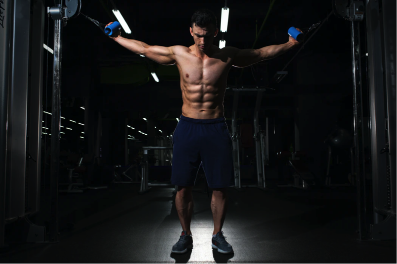 Decrease Body Fat by Boosting Testosterone - Alvinology
