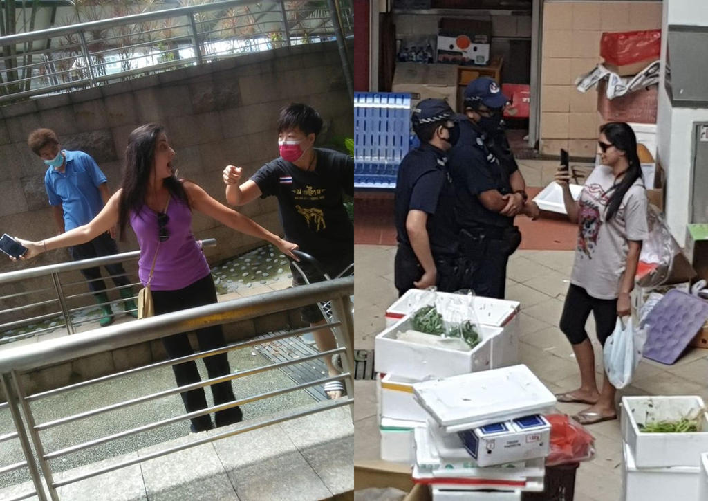 Sovereign woman Paramjeet Kaur Bail set at $10,000, refused to state name to judge - Alvinology