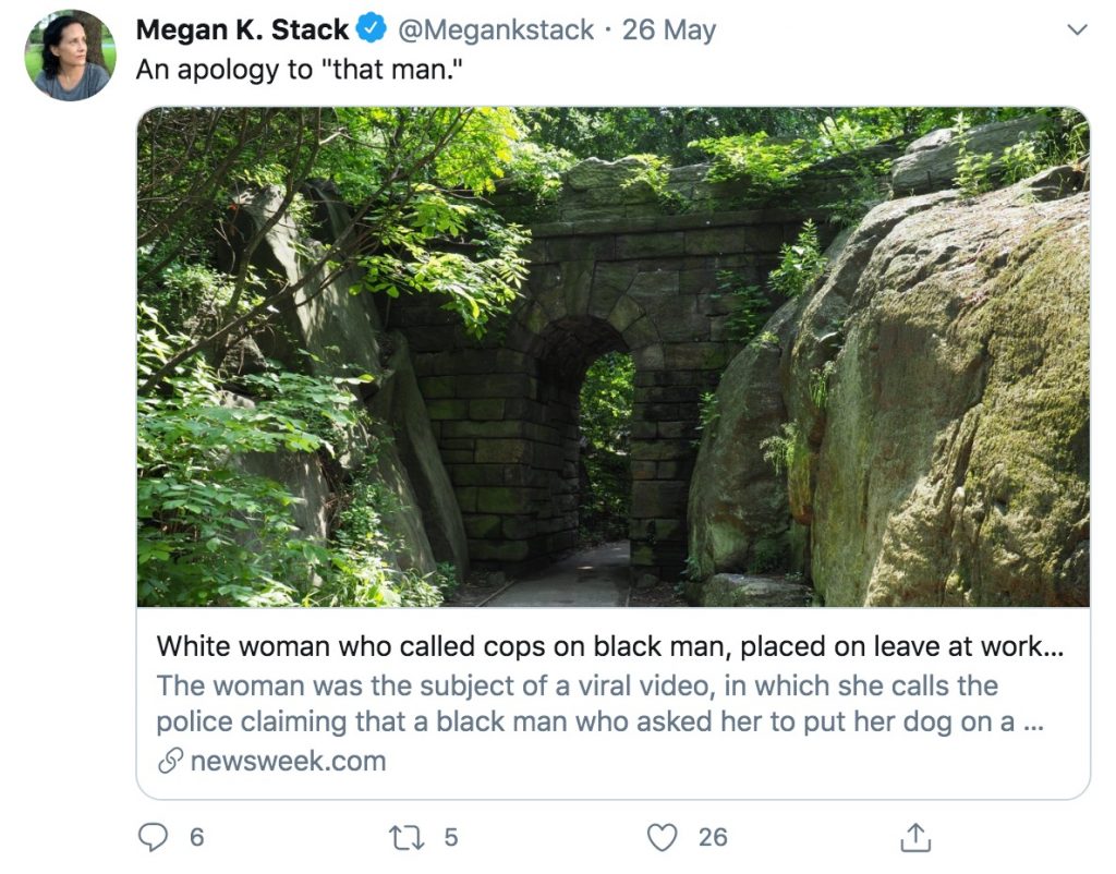 Amy Cooper vs Megan K Stack - any difference? Amy Cooper vs Megan K Stack - any difference? - Alvinology
