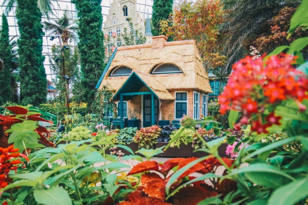 Flower Dome to open in July with an idyllic European-themed display, pre-book timed-entry now available! Flower Dome to open in July with an idyllic European-themed display, pre-book timed-entry now available! - Alvinology