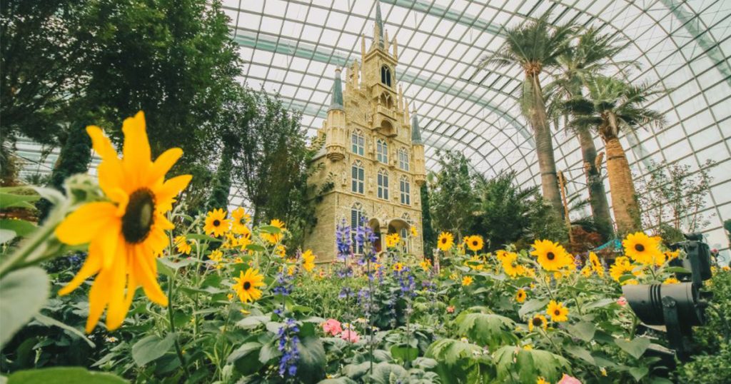 Flower Dome to open in July with an idyllic European-themed display, pre-book timed-entry now available! - Alvinology