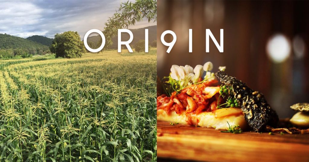 ORI9IN - first Gourmet Organic Farm in Chiangmai, Thailand by Banyan Tree Group and The Boutique Farmers - Alvinology