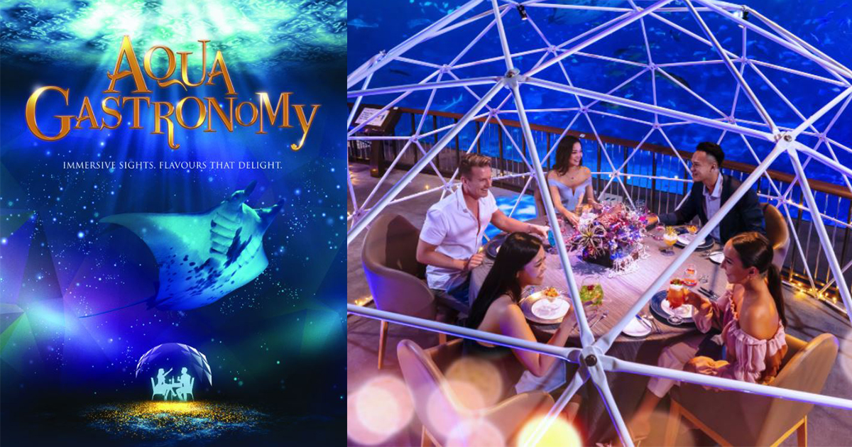 This new Resorts World Sentosa attraction lets you dine underwater for only S$118 – Singapore’s first and only underwater dining experience - Alvinology