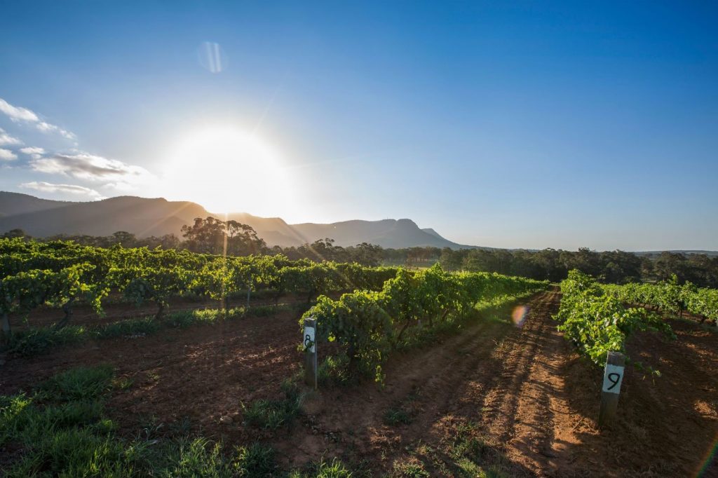 Weekend Wine-down, with Love from Hunter Valley - Alvinology