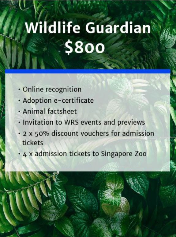 Wildlife Reserves Singapore launches its ‘Adopt an Animal’ Programme - adopt an animal of your choice! - Alvinology