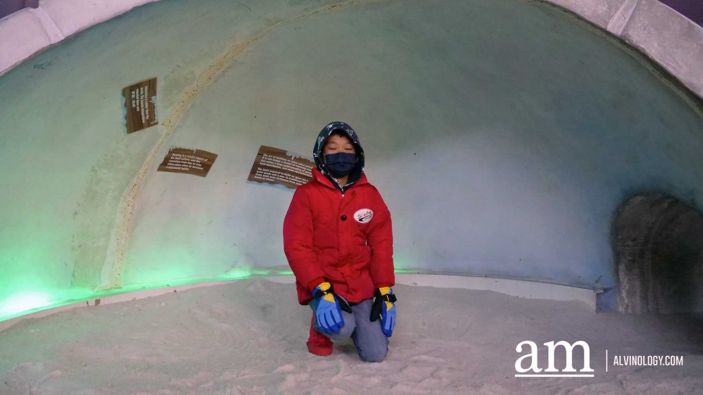 Where to Bring the Kids this Weekend? Science Centre Singapore and Snow City Review - Alvinology