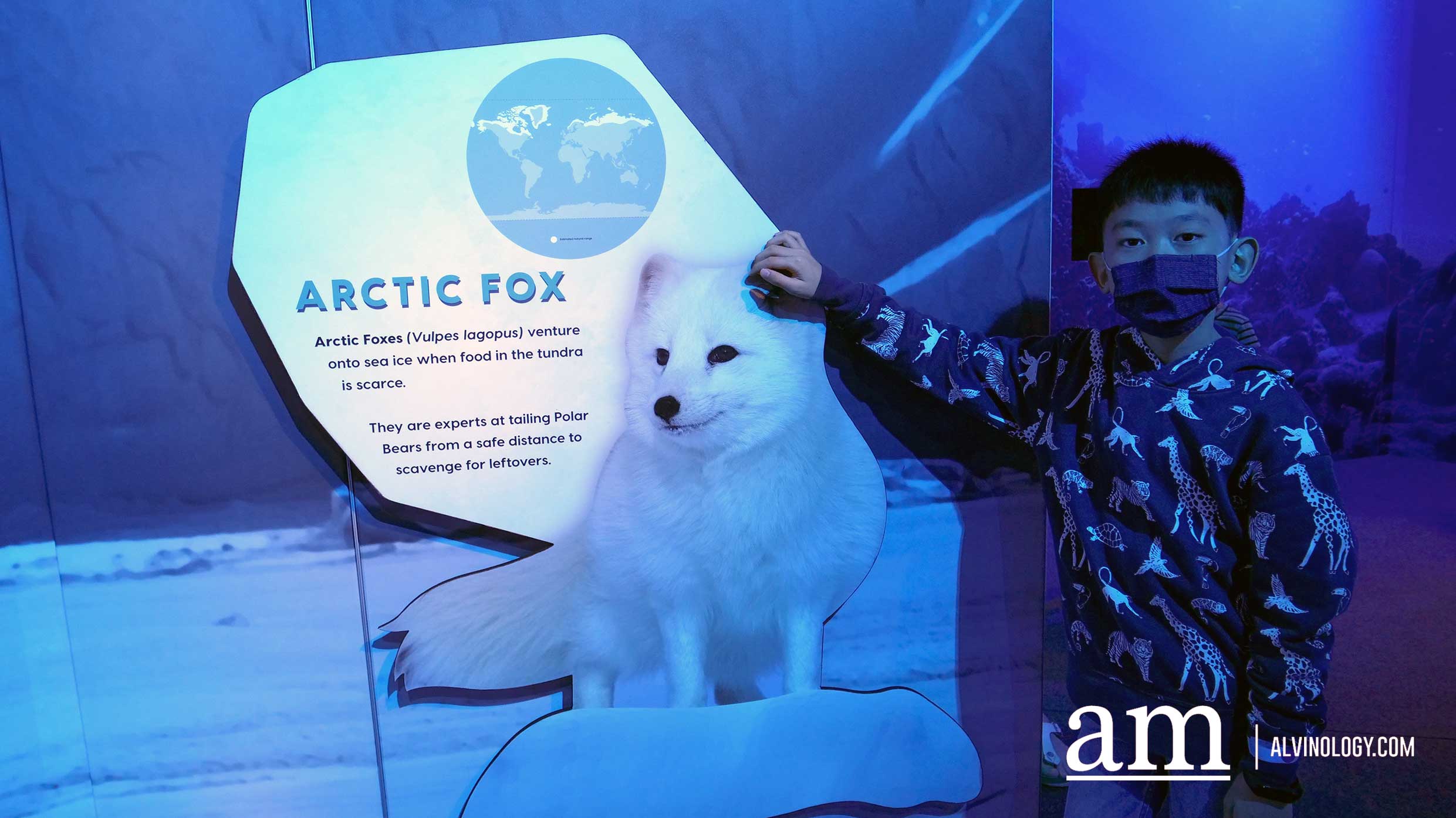 Where to Bring the Kids this Weekend? Science Centre Singapore and Snow City Review - Alvinology