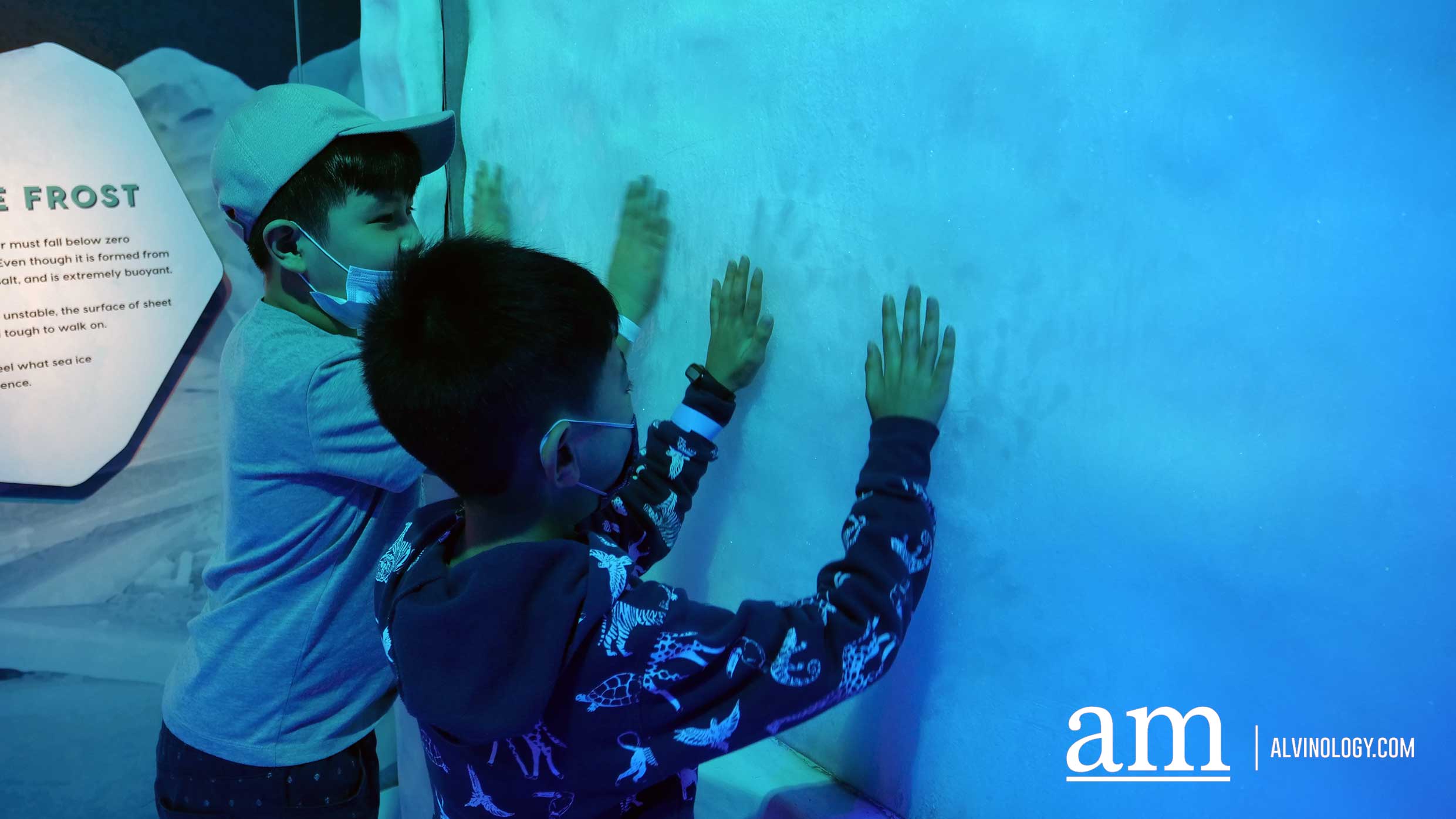 Where to Bring the Kids this Weekend? Science Centre Singapore and Snow City Review - Alvinology