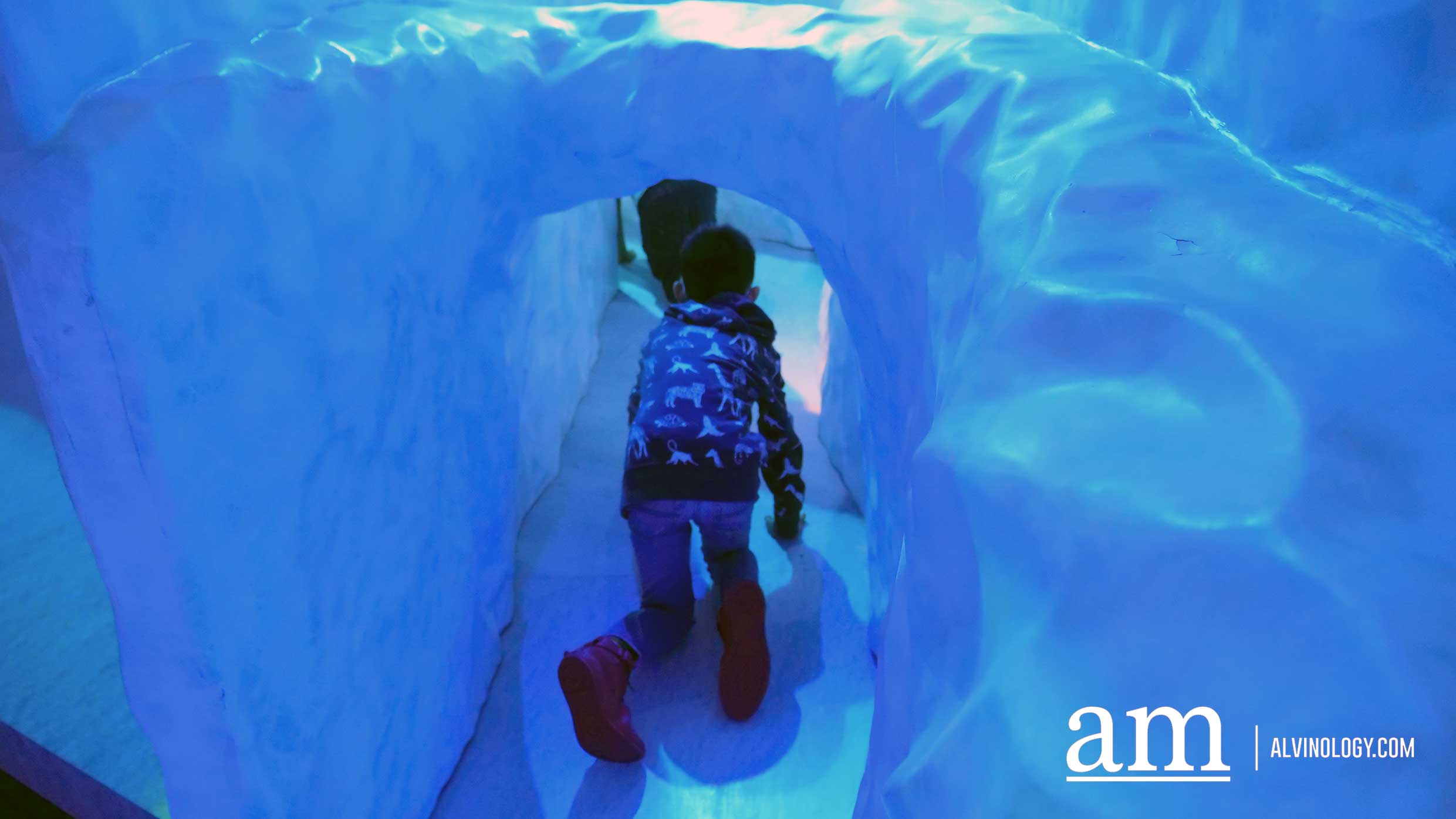 Where to Bring the Kids this Weekend? Science Centre Singapore and Snow City Review - Alvinology