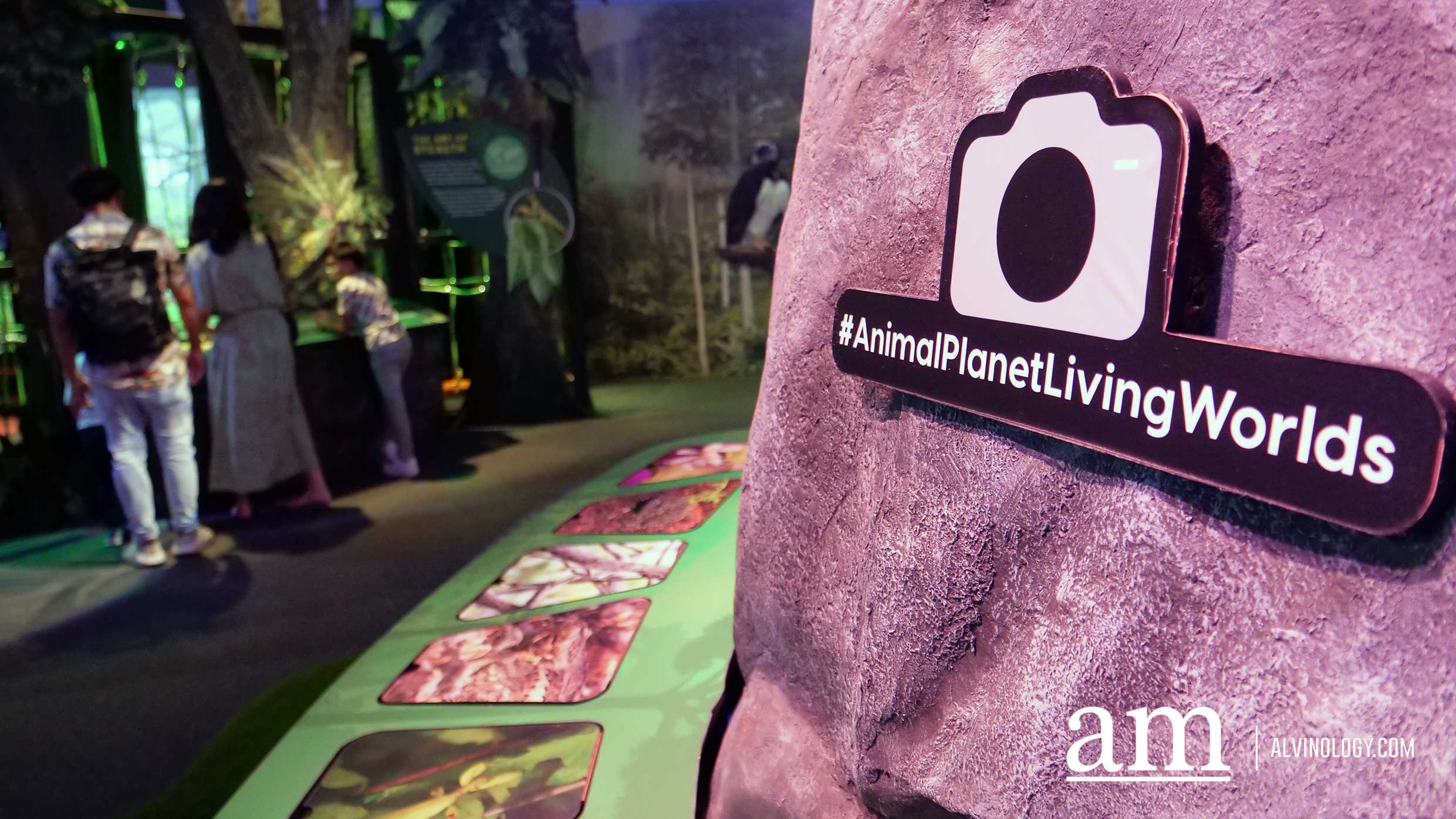 Where to Bring the Kids this Weekend? Science Centre Singapore and Snow City Review - Alvinology