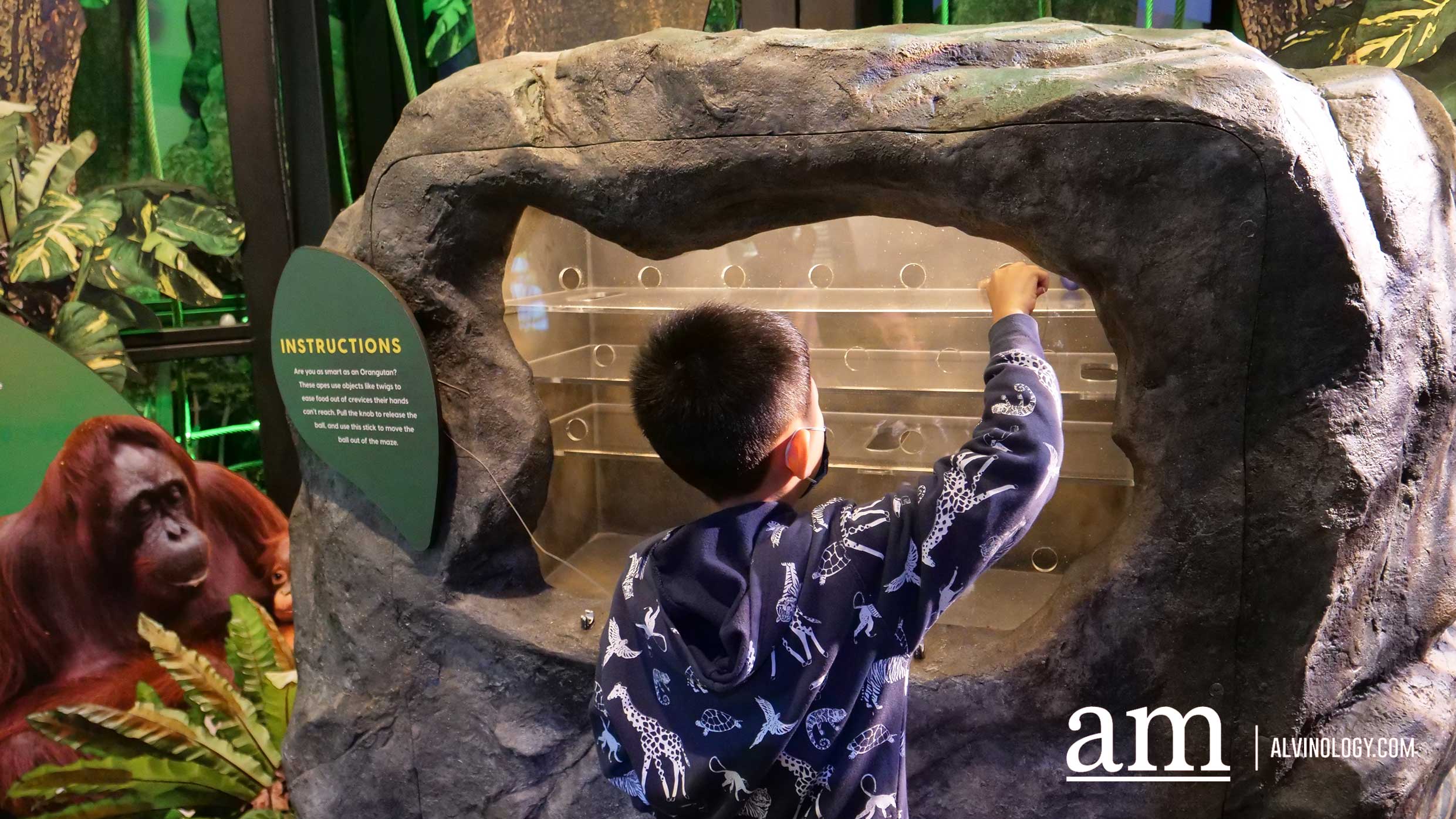 Where to Bring the Kids this Weekend? Science Centre Singapore and Snow City Review - Alvinology