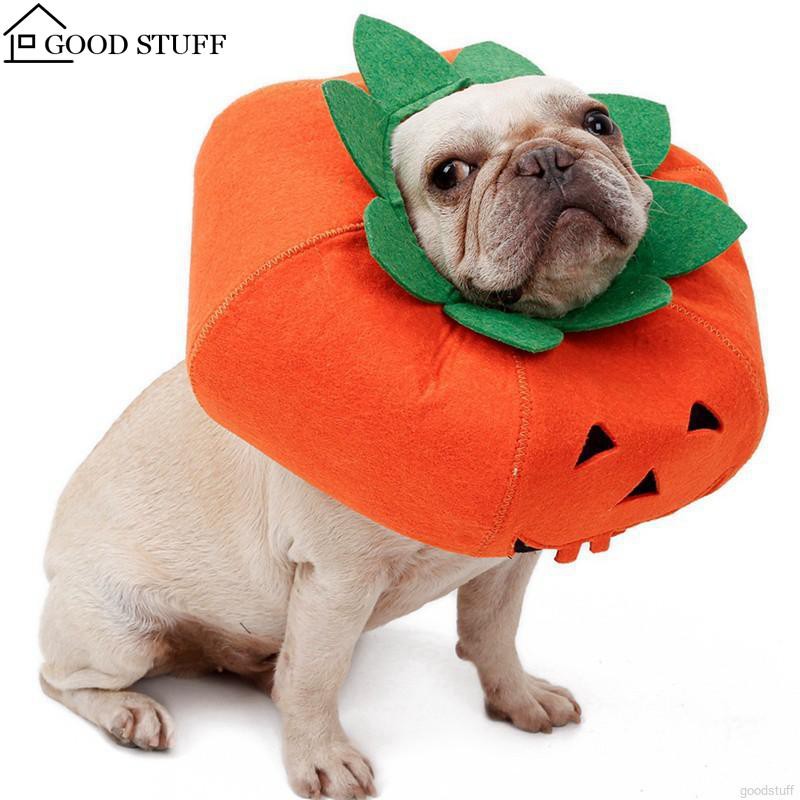 [SALE] No Tricks, just Treats! Catch the finest Halloween deals at Shopee’s Spook-tacular Halloween Sale happening today till 31 October! - Alvinology